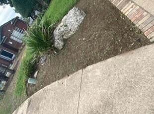 Weeding by Juan C Granados Nunez for Peter C. in Austin, TX