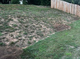 Cleanups by Rick Wilkerson for Tiffani A. in Powder Springs, GA