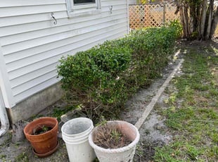 Bush Trimming by Charles Walton for alesia r. in West Palm Beach, FL