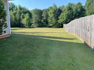 Suzanne M.'s Lawn Mowing service result