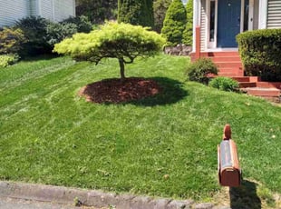 Linda C.'s Lawn Service service result