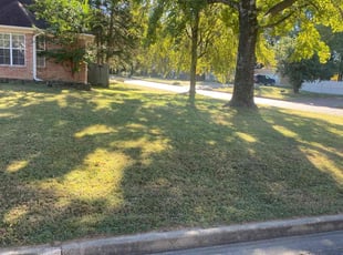 Jack F.'s Lawn Service service result