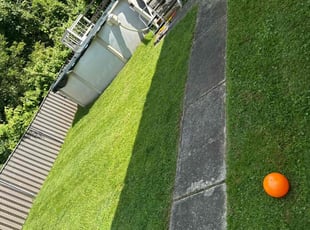 David S.'s Lawn Mowing service result