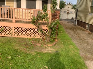 Bush Trimming by Marcus Williams for Dawn M. in Cleveland, OH