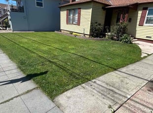 Jo L.'s Lawn Care service result