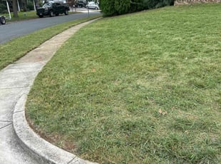 Eric M.'s Lawn Maintenance service result