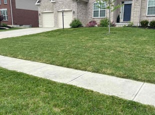 Chris C.'s Lawn Mowing service result