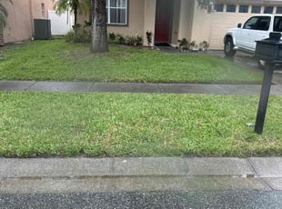 Rachel H.'s Lawn Service service result