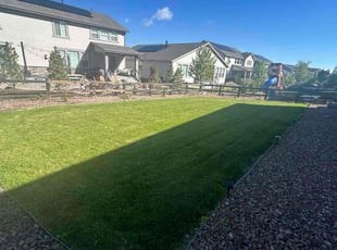 Michele W.'s Yard Cutting service result