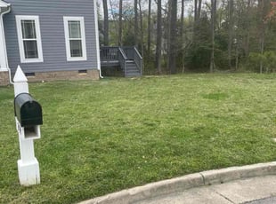 Ghulam Q.'s Lawn Mowing Service service result