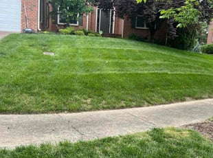 Larry C.'s Lawn Mowing service result