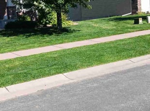 Craig L.'s Lawn Mowing service result