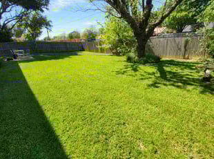 Jessica S.'s Grass Cutting service result