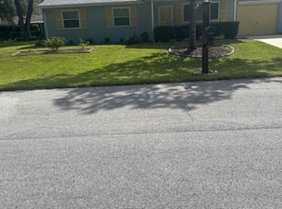 Ruth M.'s Lawn Mowing service result