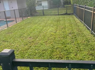 Jonathan P.'s Lawn Service service result