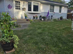 catherine l.'s Lawn Mowing service result