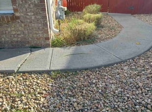 Bush Trimming by Jerry Hamilton for Kristin P. in Thornton, CO