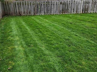 Steve V.'s Lawn Care service result
