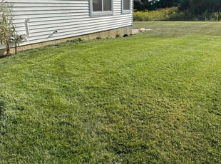 Pamela T.'s Lawn Care service result