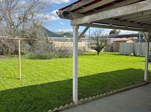 Taylor P.'s Lawn Mowing service result
