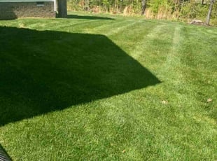 Reji S.'s Lawn Maintenance service result