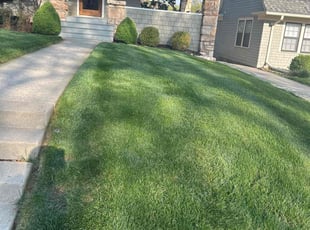 Diana L.'s Lawn Care service result
