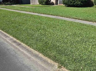 Brian B.'s Lawn Service service result