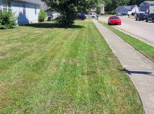 Lacey G.'s Lawn Mowing service result