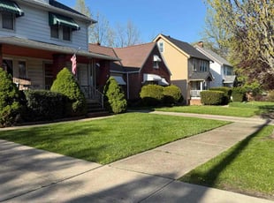 Kebin S.'s Lawn Service service result