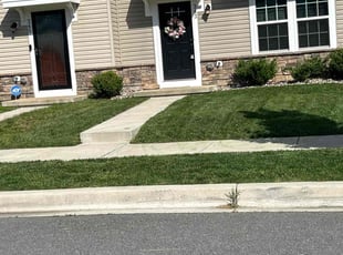 Tramaine R.'s Lawn Mowing service result