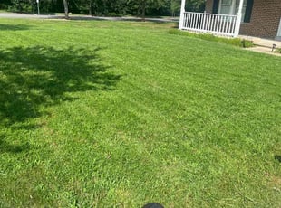 Walter P.'s Lawn Care service result