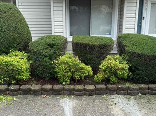 Bush Trimming by Steven Moreira for Sherrie M. in Virginia Beach, VA