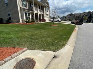 Gabrielle W.'s Lawn Care service result