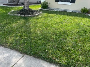 Quinton P.'s Lawn Care service result