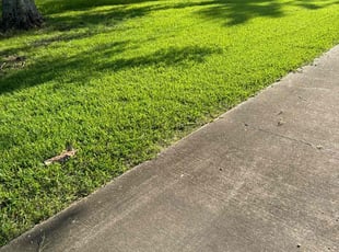 Sara L.'s Lawn Mowing service result