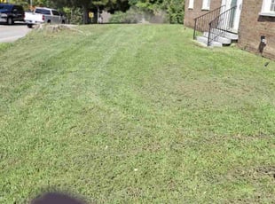 Sue B.'s Lawn Service service result