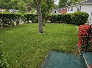 Francine D.'s Lawn Mowing service result