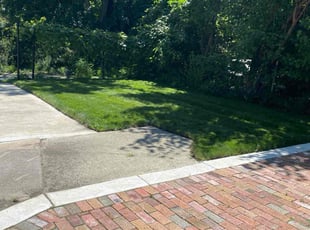 Mugunthan N.'s Lawn Care service result