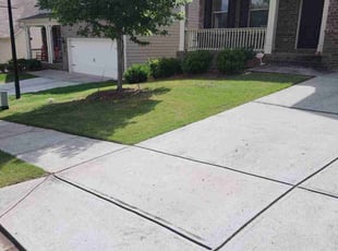 Ceray D.'s Lawn Mowing service result