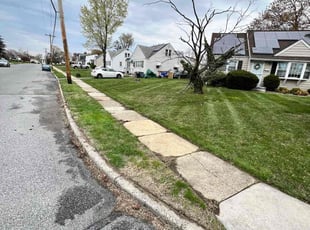 Randell W.'s Lawn Service service result