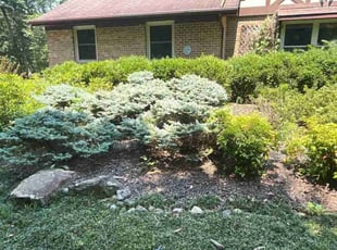 Cleanups by Icaro Dos Santos for Christopher V. in Mount Airy, MD