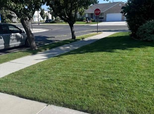 Chanel H.'s Lawn Care service result