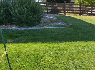 Cleanups by Tylon Newcomb for Deedee W. in Aurora, CO