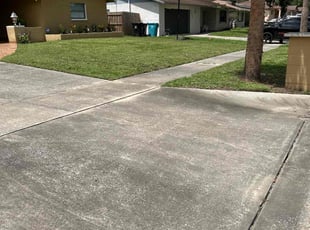 Paul P.'s Lawn Mowing Service service result