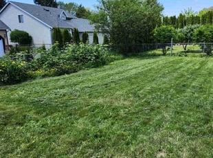 Carol M.'s Yard Cutting service result