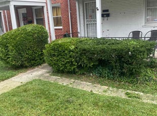 Bush Trimming by David Bazemore for Vanessa S. in Baltimore, MD