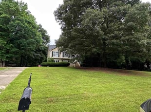 Frantz j.'s Lawn Mowing service result