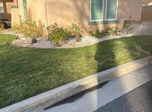 Joseph Z.'s Yard Cutting service result