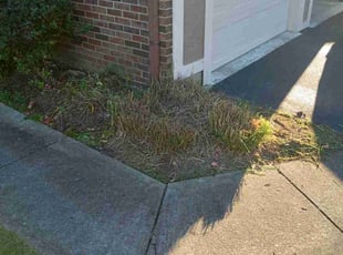 Cleanups by Elisha Nelson for Aaron M. in Columbus, OH