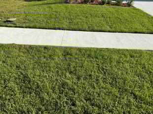 Jonathan S.'s Lawn Maintenance service result